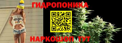 винт Краснодар