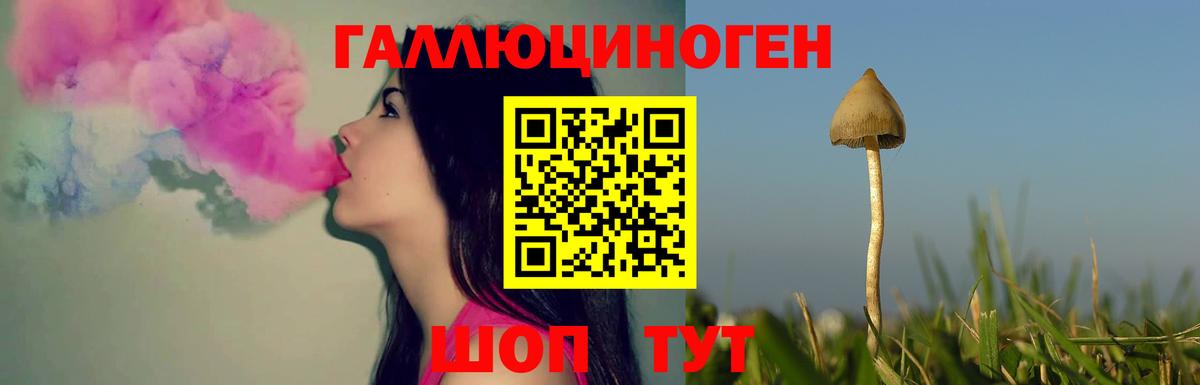 Донецк  Галлюциногенные грибы мухоморы  Вход с VPN  Галлюциногенные грибы Psilocybe 